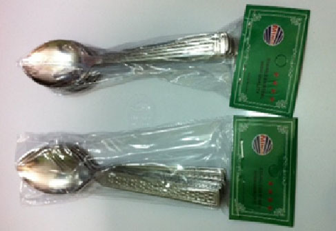 Stainless Steel Dinner Set Tea Spoon (SPT-12G)